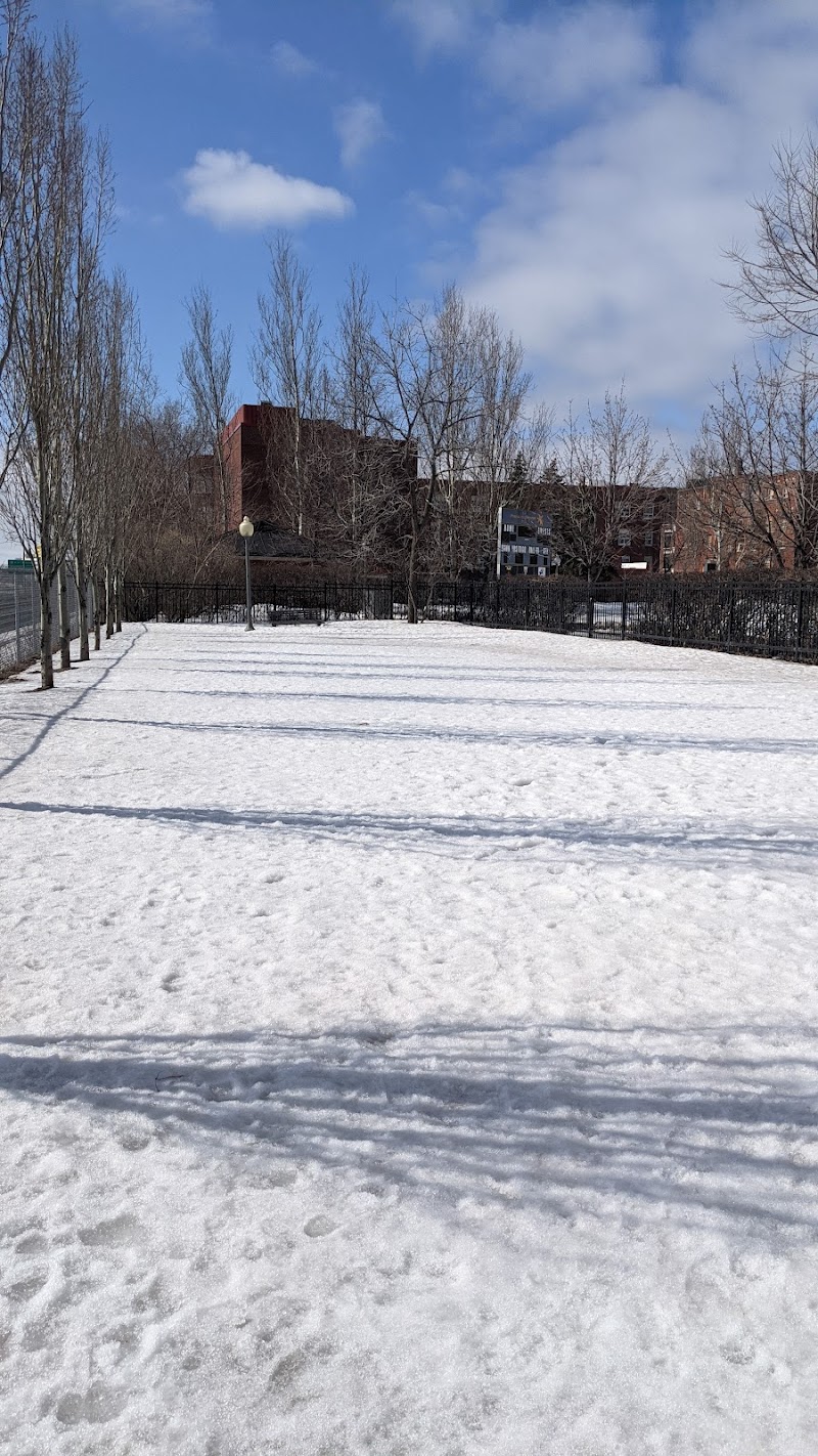 Westmount Athletic Grounds Dog Run dog park in Westmount, Quebec