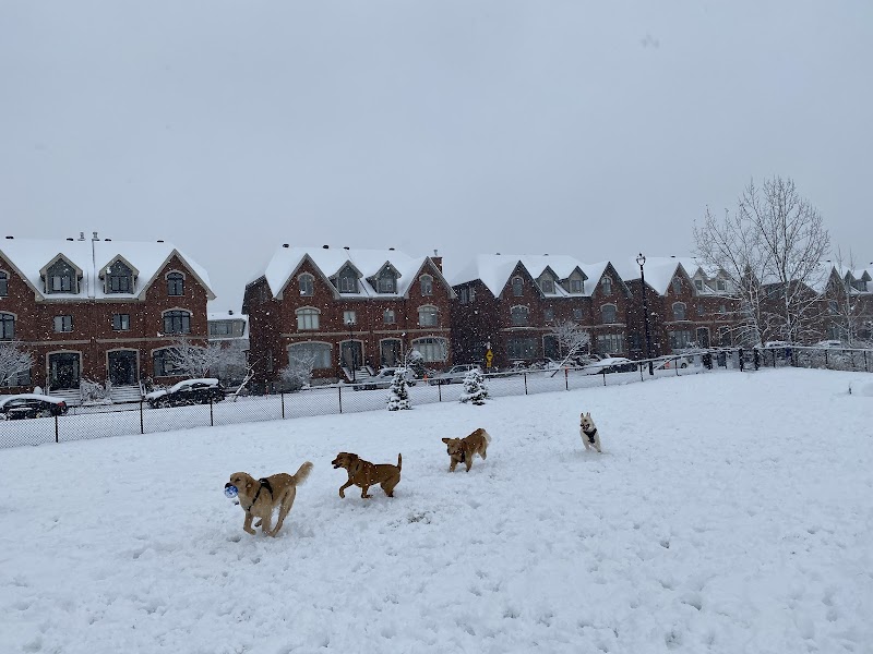 Noroît Dog Park dog park in Saint-Laurent, Quebec