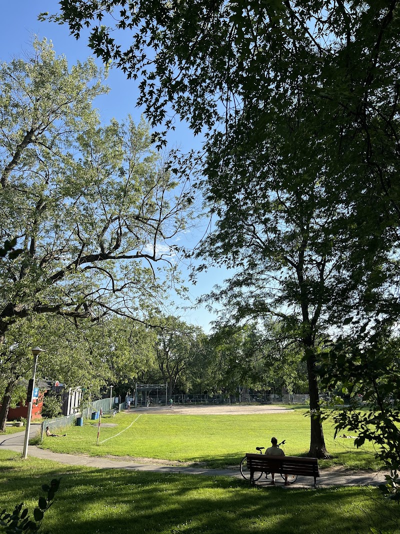 Dog exercise area dog park in Montreal, Quebec