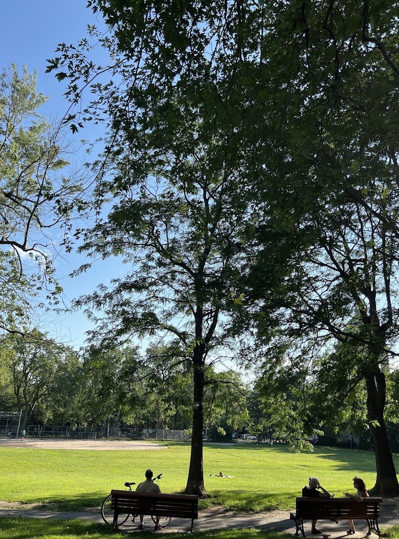 Dog exercise area dog park in Montreal, Quebec