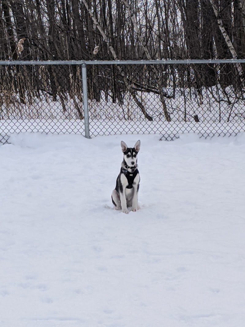 Des Bruants dog park dog park in Montreal, Quebec