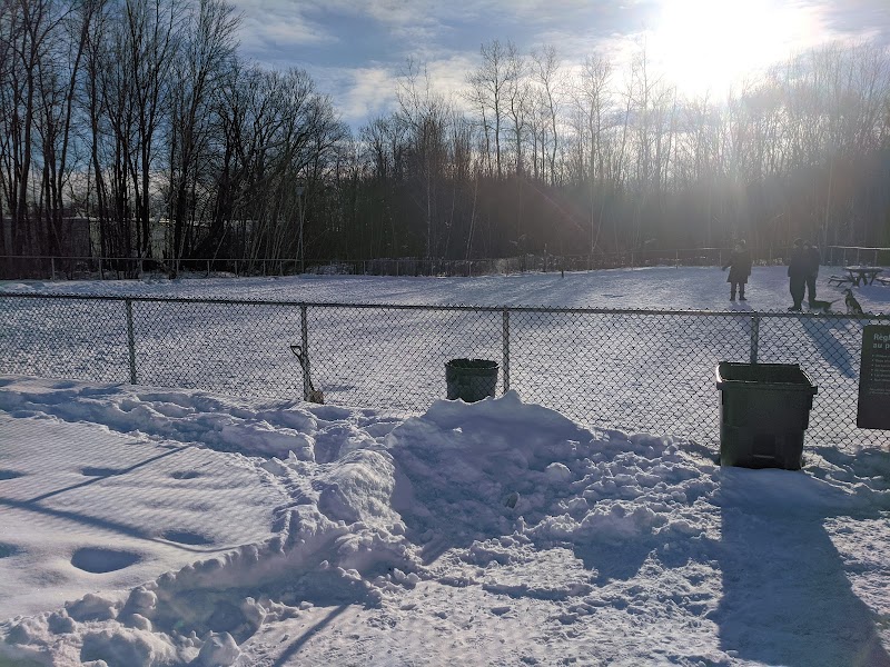 Des Bruants dog park dog park in Montreal, Quebec