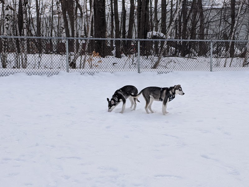 Des Bruants dog park dog park in Montreal, Quebec