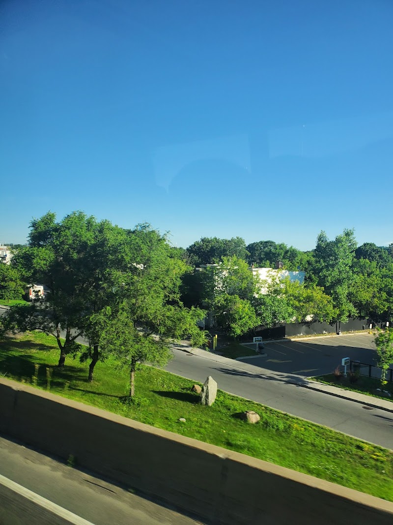 Parc à chiens Roger-Richer dog park in Montreal, Quebec
