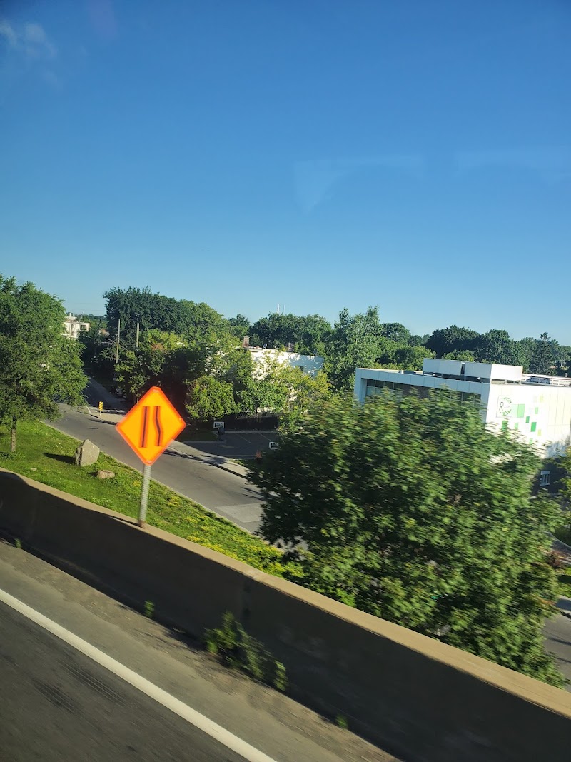 Parc à chiens Roger-Richer dog park in Montreal, Quebec