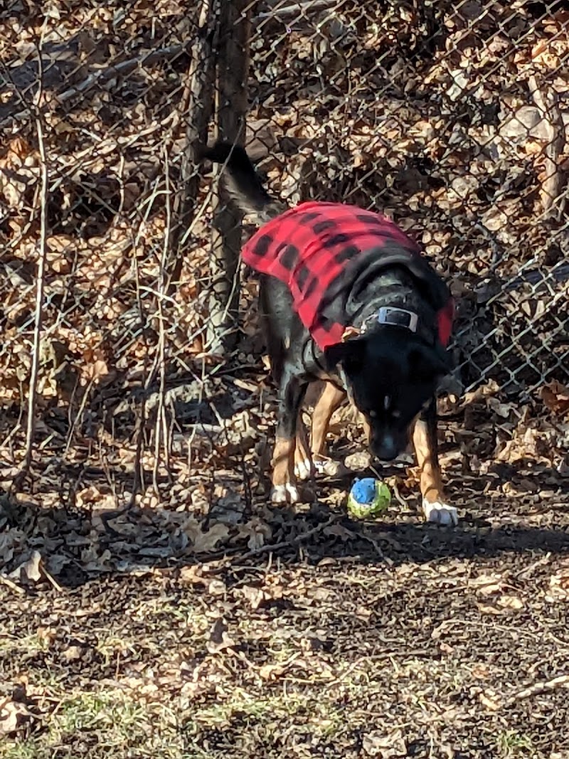 Joe Raie Nature Trail dog park in Côte Saint-Luc, Quebec