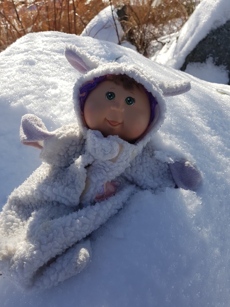 Guillaume-Bruneau Dog Park dog park in Saint-Laurent, Quebec