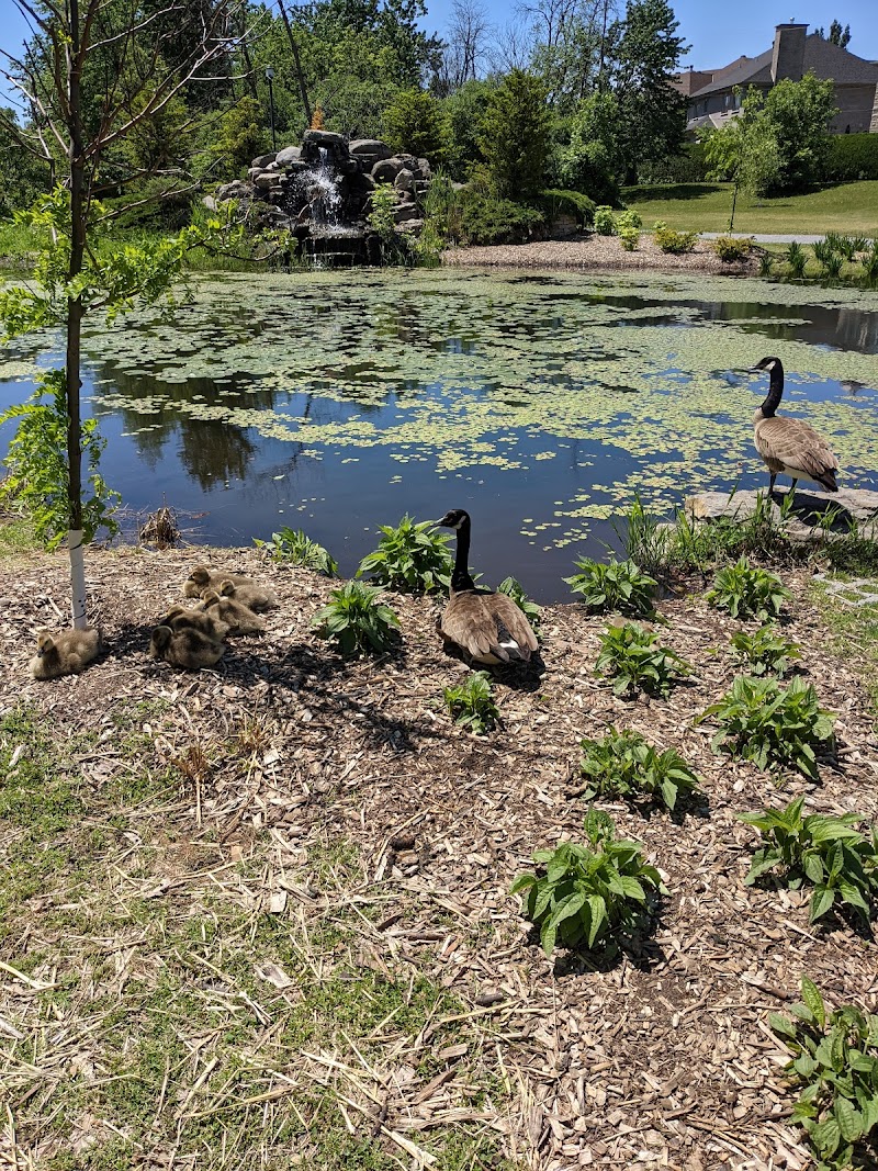 Guillaume-Bruneau Dog Park dog park in Saint-Laurent, Quebec