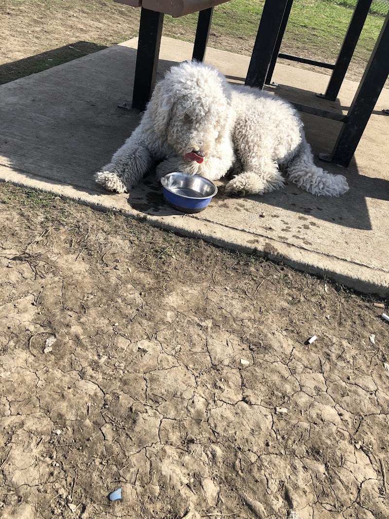 Binet dog park dog park in Laval, Quebec