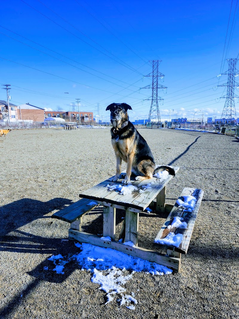 Binet dog park dog park in Laval, Quebec