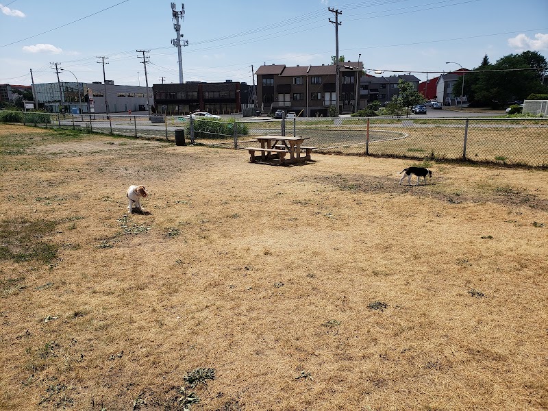 Binet dog park dog park in Laval, Quebec