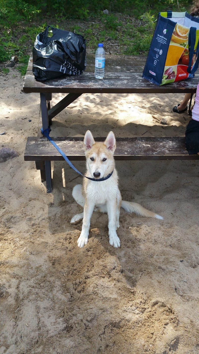 Binet dog park dog park in Laval, Quebec