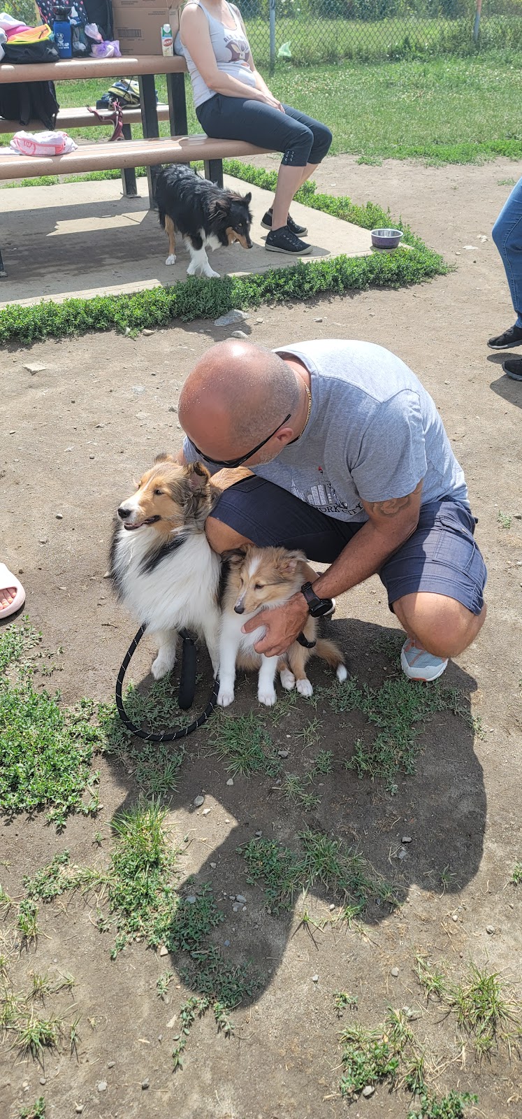 Binet dog park dog park in Laval, Quebec