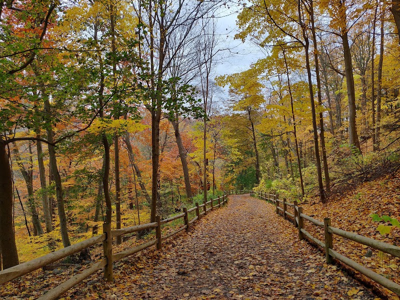 Craigleigh Gardens Dog Park dog park in Toronto, Ontario