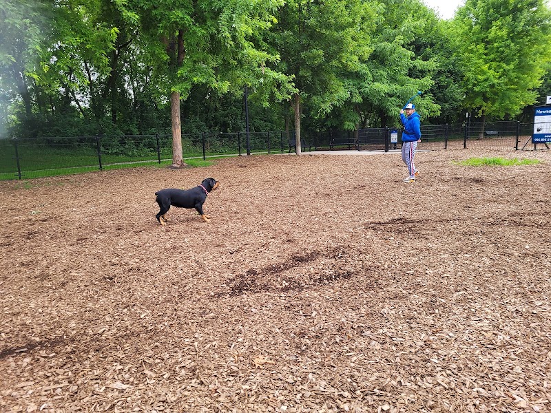 Large dog/Small dog Global Pet Foods Dog Park presented by snapd dog park in Newmarket, Ontario