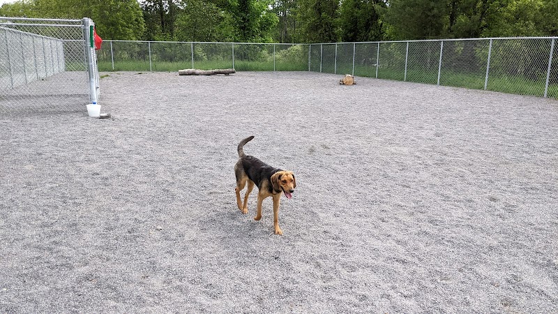 Parc canin Morin-Heights Dog park dog park in Morin-Heights, Quebec