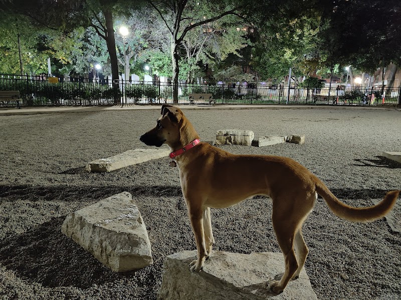 Barbara Hall Dog Park dog park in Toronto, Ontario