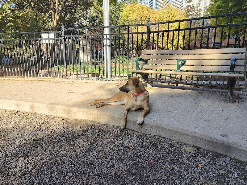 Barbara Hall Dog Park dog park in Toronto, Ontario