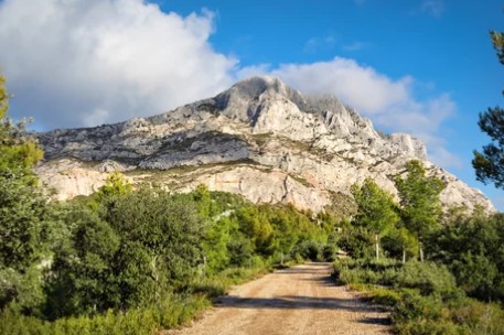 Norwood Dog Park dog park in Toronto, Ontario
