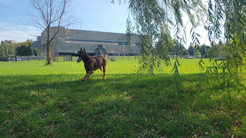 Off-Leash Dog Park dog park in Scarborough, Ontario