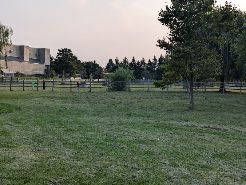 Off-Leash Dog Park dog park in Scarborough, Ontario