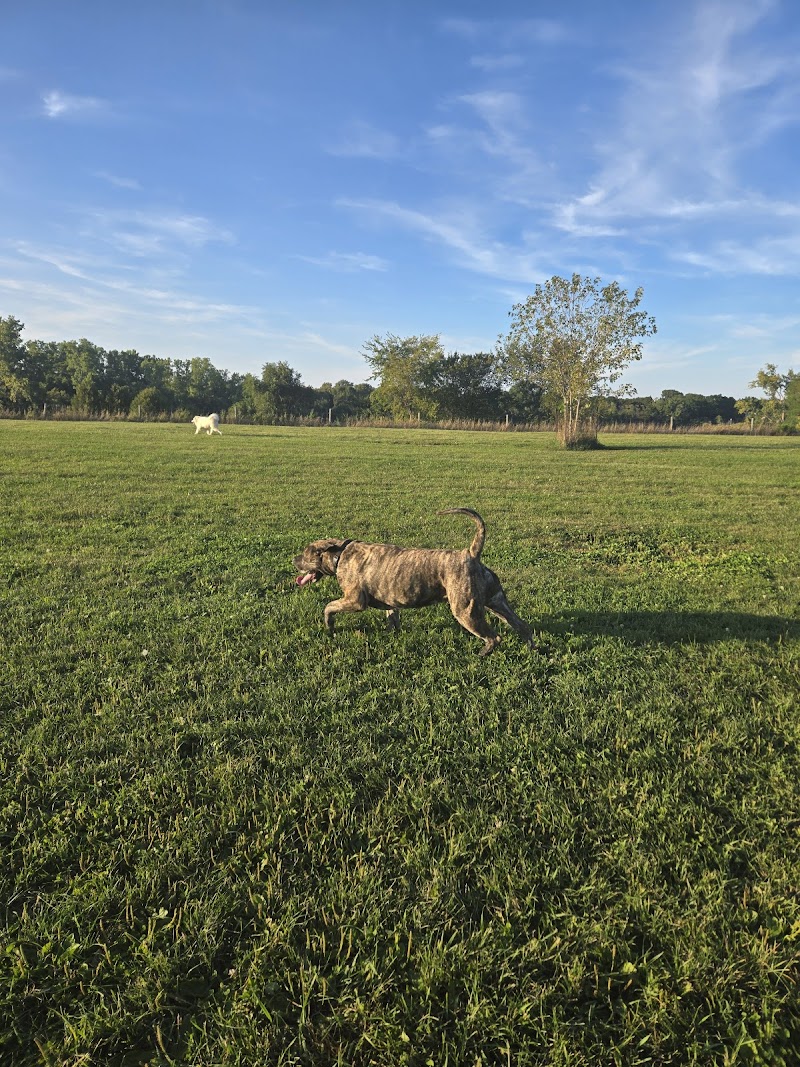 Blackwell Dog Park dog park in Sarnia, Ontario