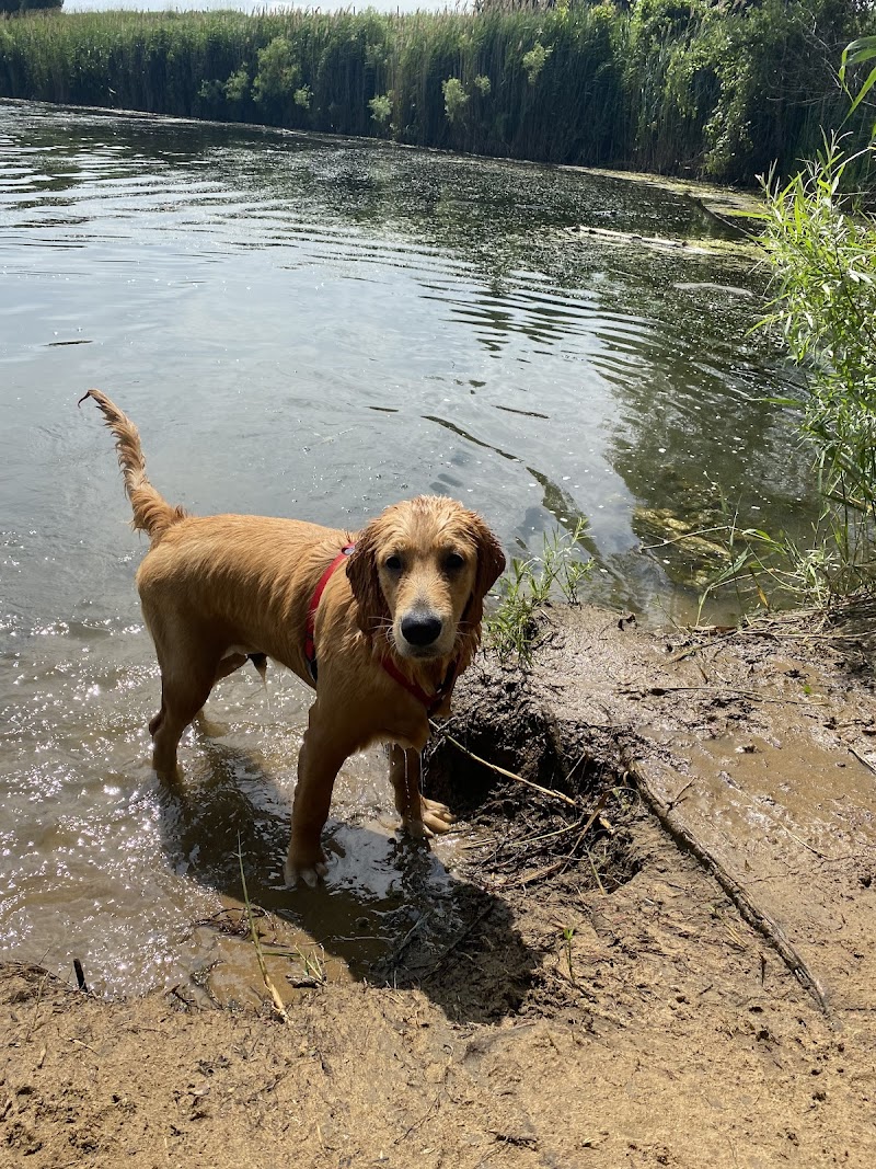 Blackwell Dog Park dog park in Sarnia, Ontario