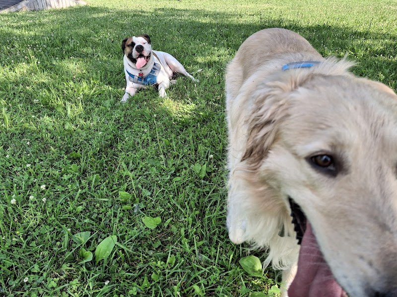 Wallaceburg Happy Tails Dog Off Leash Park dog park in Wallaceburg, Ontario
