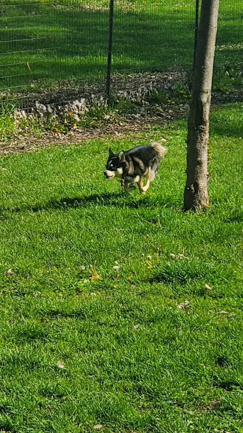 Wallaceburg Happy Tails Dog Off Leash Park dog park in Wallaceburg, Ontario