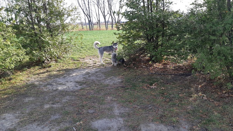 Rotary Club Leash Free Dog Park dog park in Leamington, Ontario