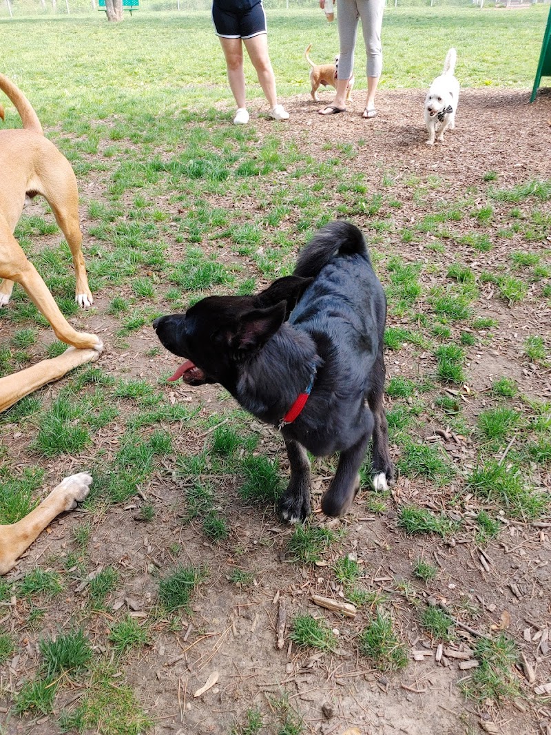 Rotary Club Leash Free Dog Park dog park in Leamington, Ontario