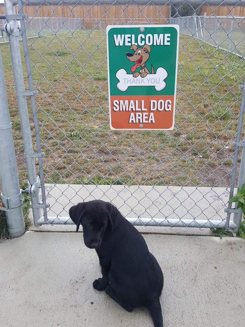 Essex Dog Park dog park in Essex, Ontario