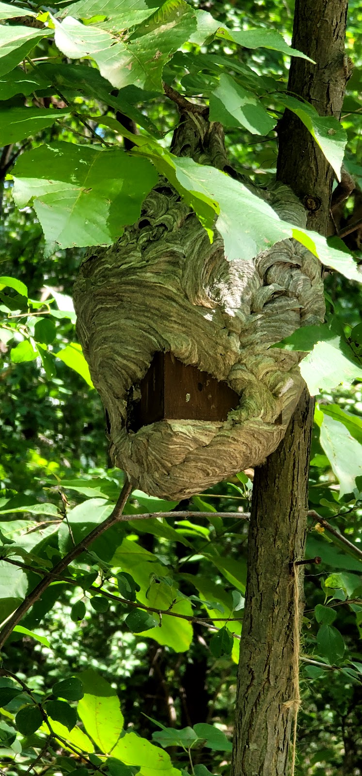 Elizabeth Kishkon Dog Park dog park in Windsor, Ontario