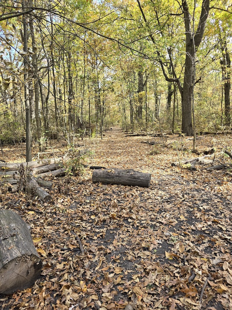 Optimist Memorial Park Dog Park dog park in Windsor, Ontario