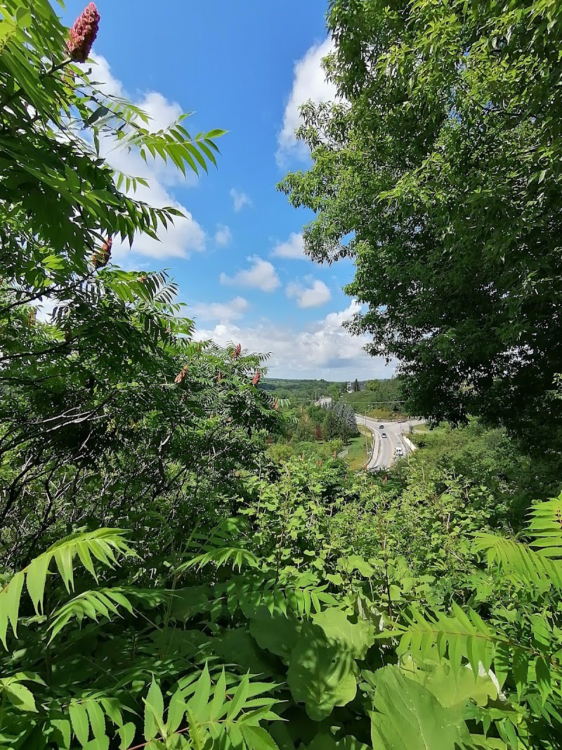 Windsor Dog Park dog park in Windsor, Quebec