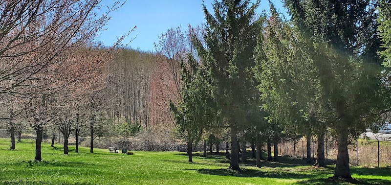 Windsor Dog Park dog park in Windsor, Quebec