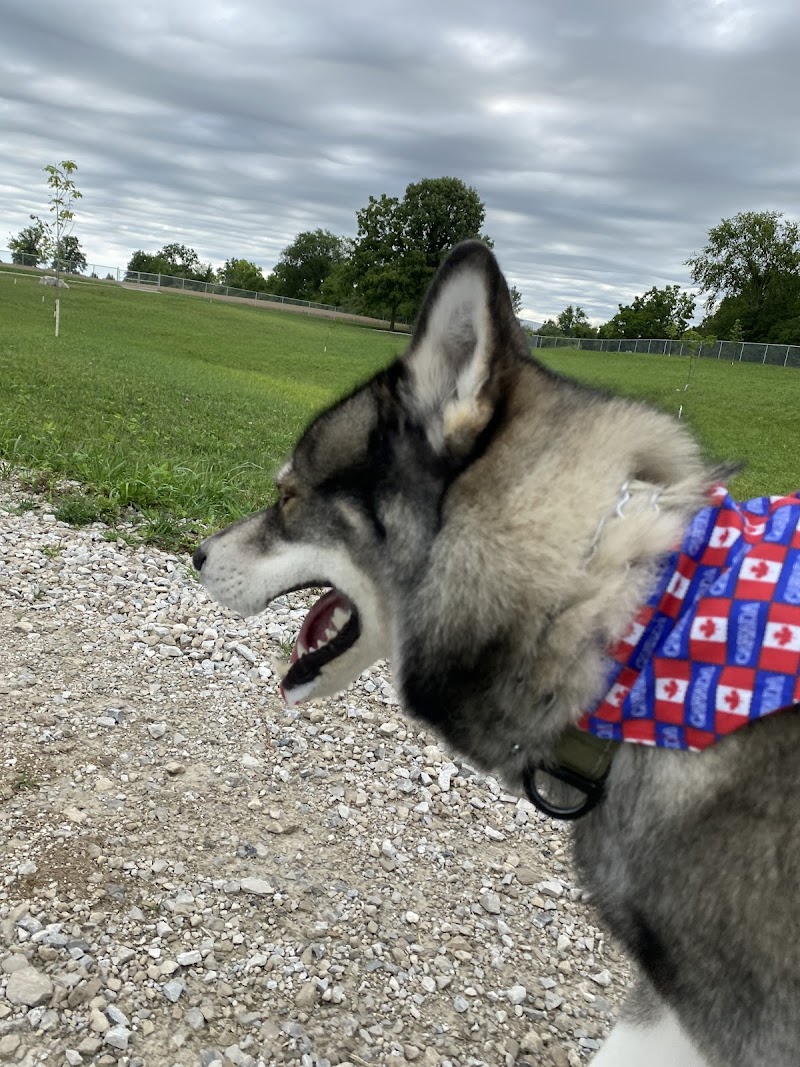 Amherstburg Dog Park dog park in Amherstburg, Ontario