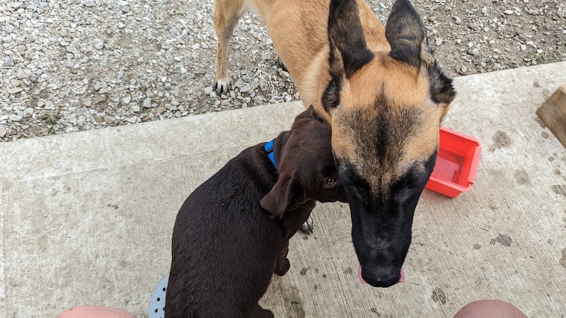 Amherstburg Dog Park dog park in Amherstburg, Ontario