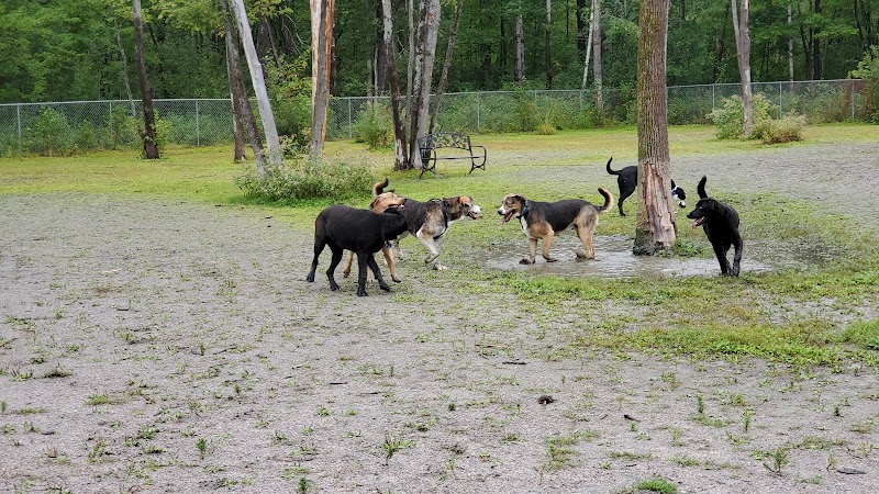 Dog Park dog park in North Bay, Ontario