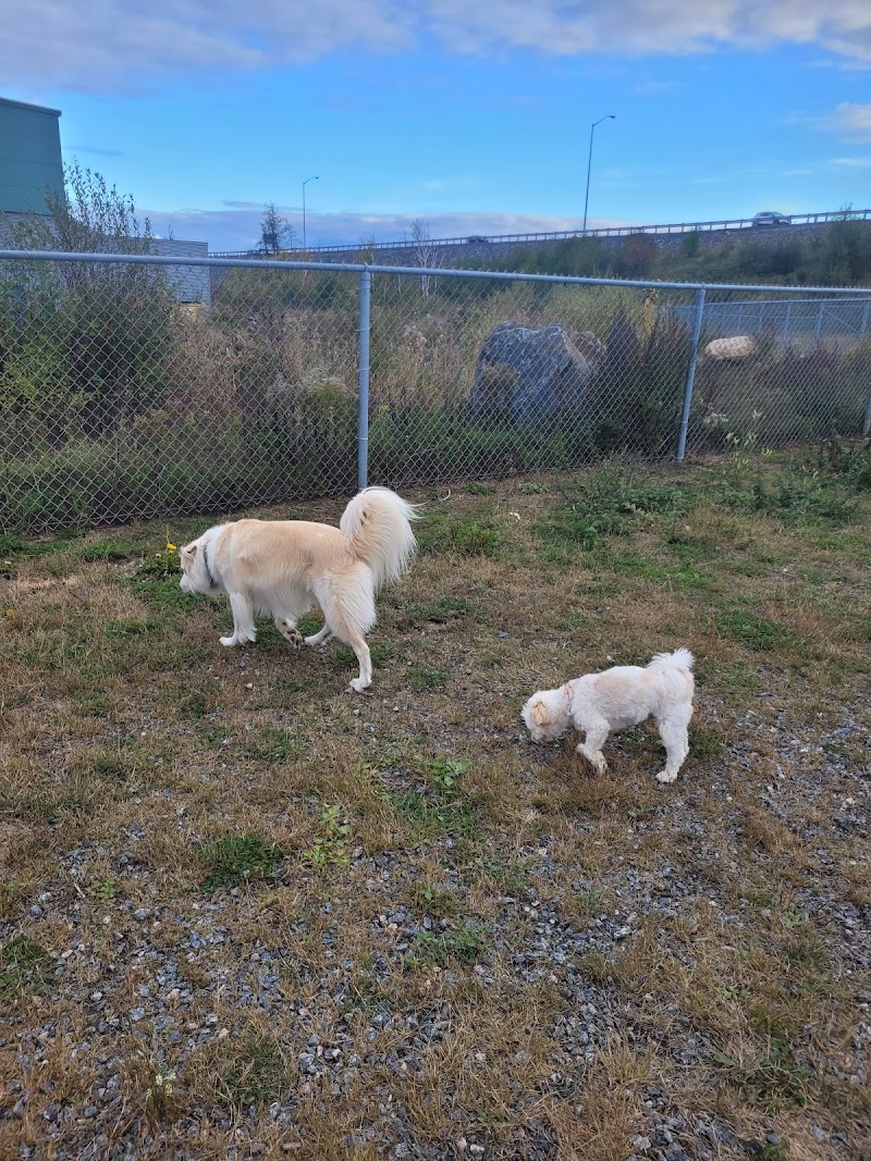 Dog park dog park in Greater Sudbury, Ontario