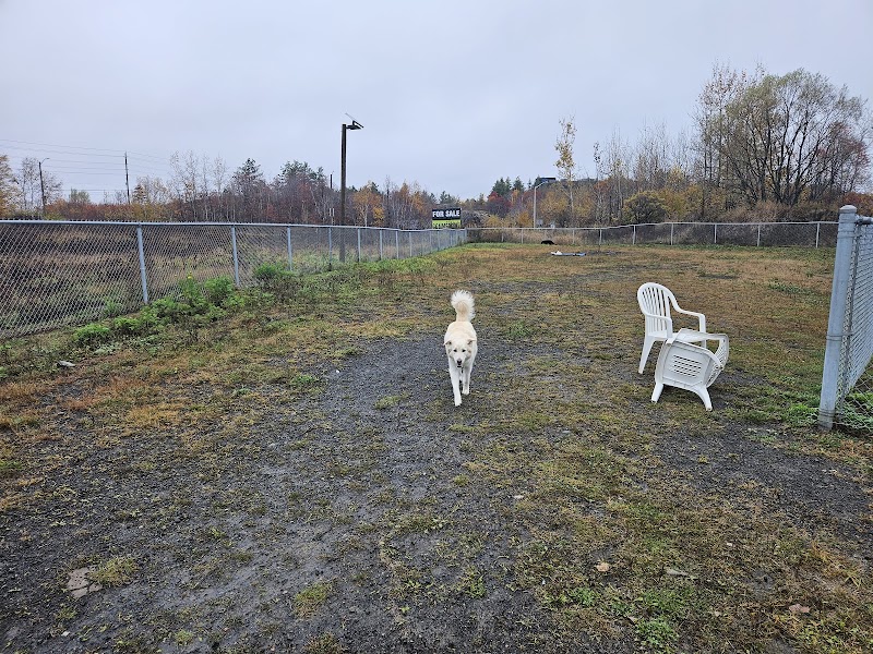 Dog park dog park in Greater Sudbury, Ontario
