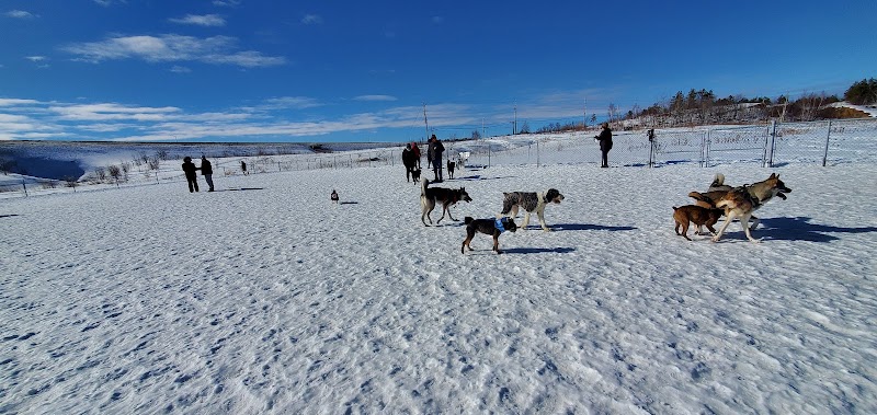 Dog park dog park in Greater Sudbury, Ontario