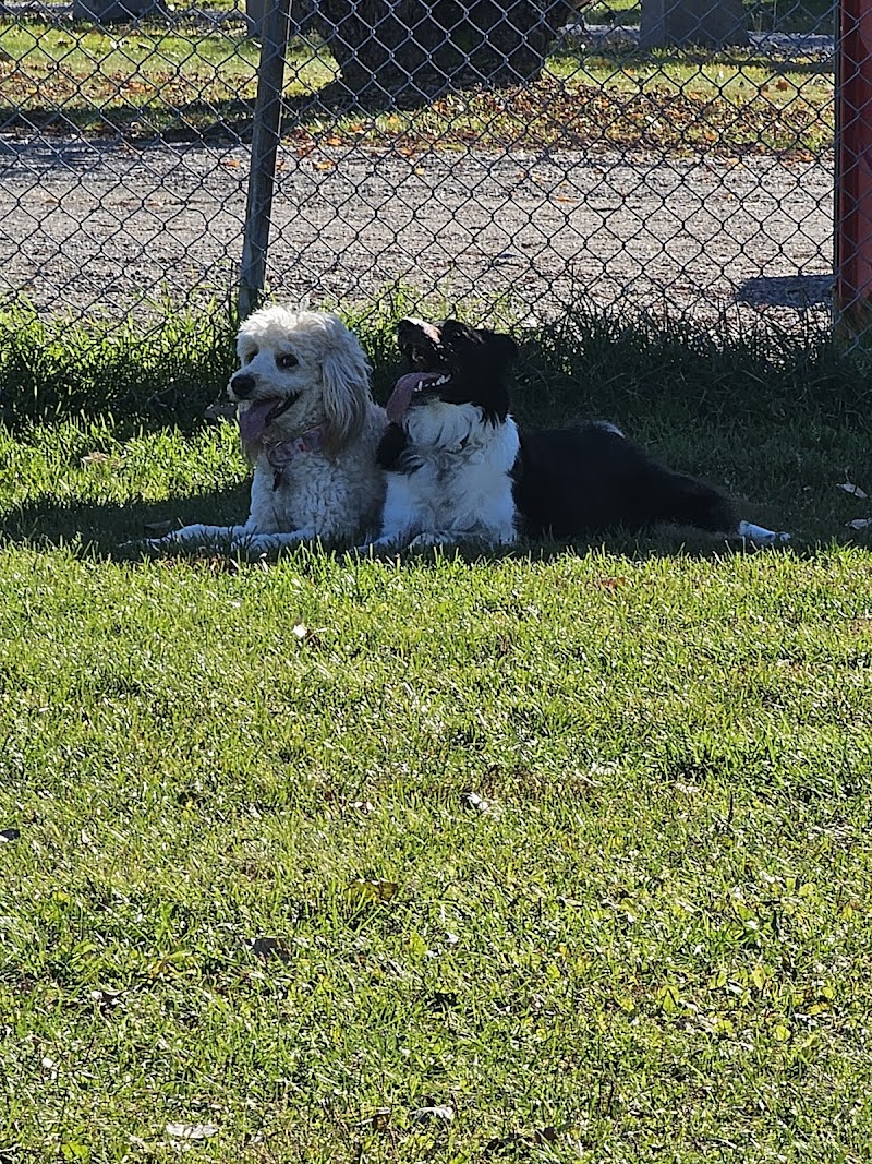 Azilda Dog Park dog park in Chelmsford, Ontario