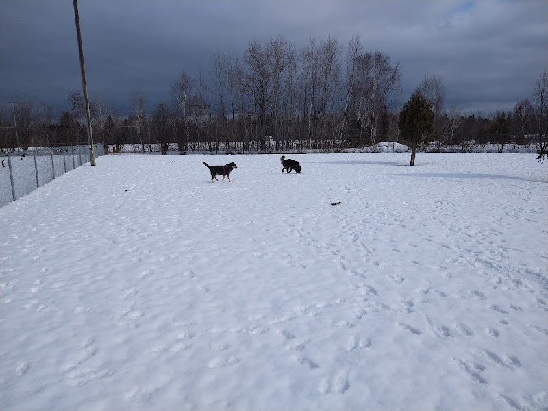Azilda Dog Park dog park in Chelmsford, Ontario