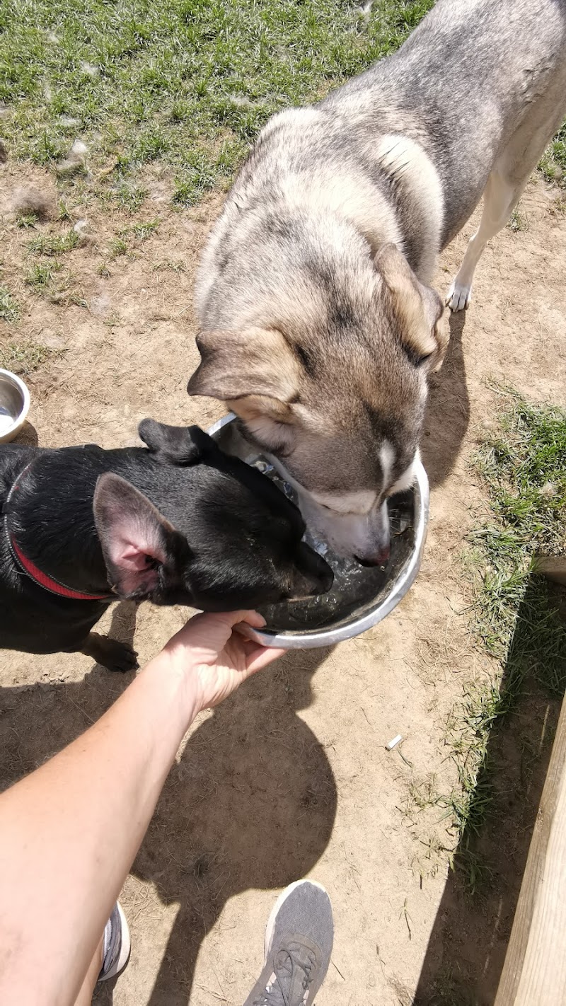 Azilda Dog Park dog park in Chelmsford, Ontario