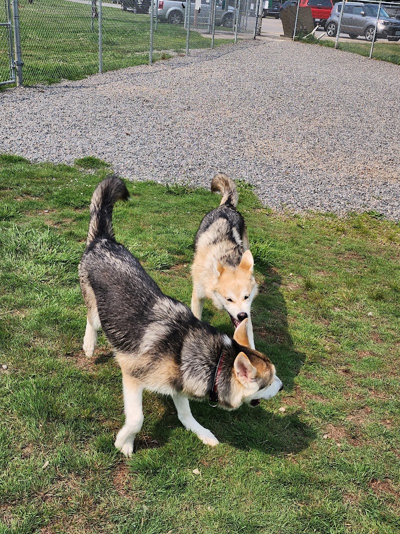 Bracebridge Dog Park dog park in Bracebridge, Ontario