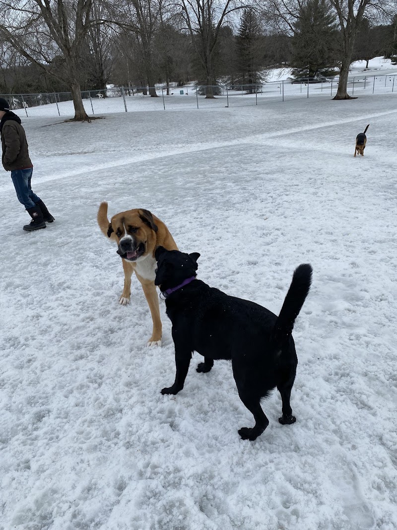 Bracebridge Dog Park dog park in Bracebridge, Ontario