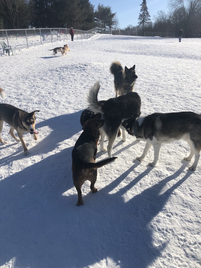 Bracebridge Dog Park dog park in Bracebridge, Ontario
