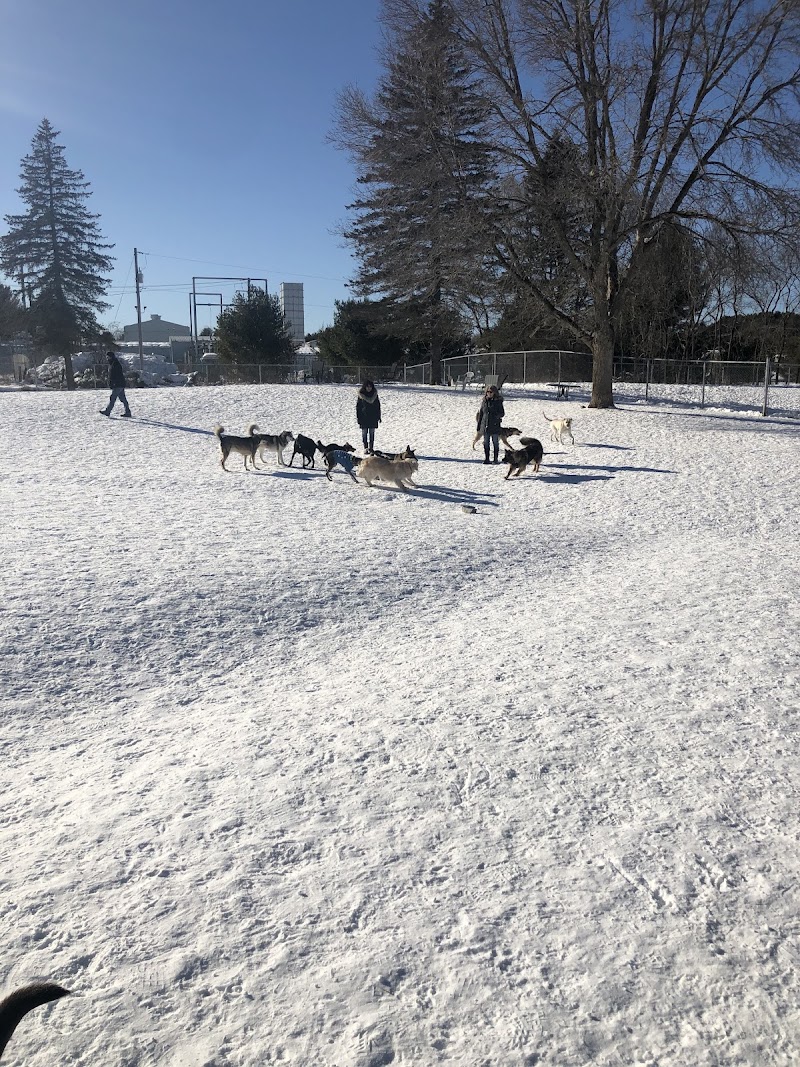 Bracebridge Dog Park dog park in Bracebridge, Ontario