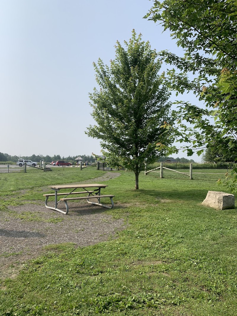 Small Dog Off-leash Park dog park in Whitby, Ontario